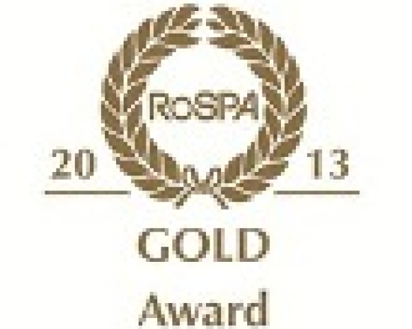 gold award 2013 logo thumbnail 3.jpg