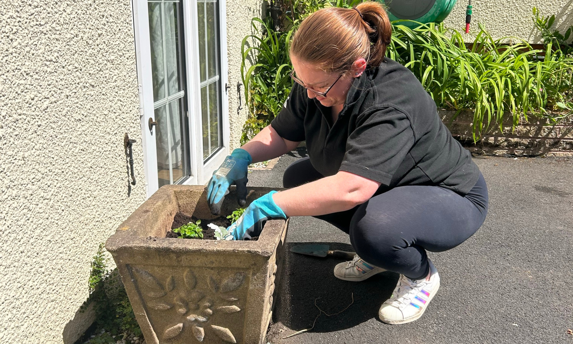 Volunteer planting at KEMP hospice